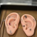 원킬쇼핑 | 경주 귀 귓볼 입술 피어싱 안아프게 잘뚫는곳 [원킬 피어싱]