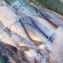 사천읍시장 이미지