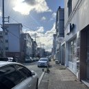 도도애견샵 | 삼계 애견미용실, 김해 애견미용 추천 '댕댕모아' 후기 !!