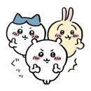 배명고등학교(내) | 추억82