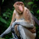 고유종농장 이미지