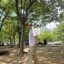 양천근린공원 키지트 이미지