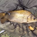 한탄강 낚시터 이미지