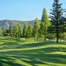 금호리조트(주)아시아나파3골프클럽 | 아시아나CC 회원권 정보 / 소개