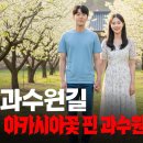 과수원길 - 성남시 수정구 탄리로96번길 1 | 과수원길