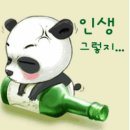 함양넷 Daum카페