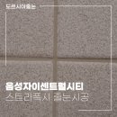 센트럴시티 인더시티 | 음성 자이 센트럴시티 줄눈시공 후기 가성비와 퀄리티를 잡은 신소재 스트라폭시