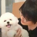 반려동물행동교정사 이미지