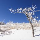 무룡농장 | 장안산 /전북 장수