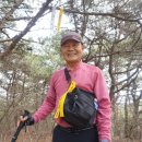 곡성-219 이미지