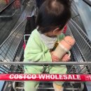 이앤백 치과기공소 | 코스트코 공세점 3월 마지막 주 할인 상품으로만 생활용품 장보기