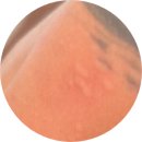 막내카써비스 | [세부 여행] 세부여행 마지막날 한바다호핑 선셋호핑 솔직후기🐟