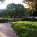 와동제1공원1 이미지