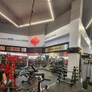 에스휘트니스 이미지