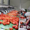 운봉농협 농산물산지유통센터 이미지