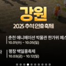 꽃불나이트