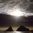 허니퍼니 이미지