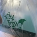 양정목장 | 1일차 (칠보산 자연휴양림, 9남매 두부집, 대관령양떼목장, 갤러리밥스, 강릉닭강정, 이모네생선찜...