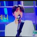 와이트라이브
