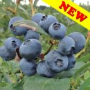 주립농장 이미지