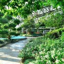 여미지식물원 이미지