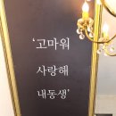 메르시독 이미지