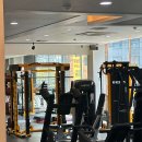 솔 휘트니스 이미지