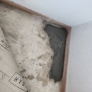 대산2리마을회관 | 팔봉 덕송2리 마을회관 누수 / 서산 당진 태안 성연 대산 누수 탐지 누수 공사