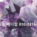 바이오매트 이미지