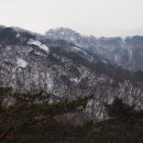 개미인력 이미지