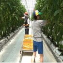 향숙농장 이미지