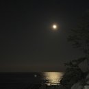 울진농업협동조합월변지점 | 경북 울진 오션뷰 바닷가 앞 가성비 카라반 숙소 페리아펜션 /일출 명소