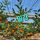 거성농장 이미지