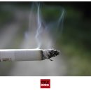 서초권투체육관 이미지