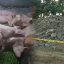 지구농장 이미지