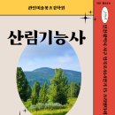 산림기능사 국가기술자격증 | 2026 국가기술자격증 산림기능사