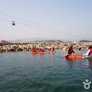 장호관광지 이미지