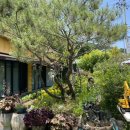 블라썸펜션 이미지