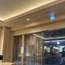 카츠오우 - 강남구 도곡로3길 26 | [서울 강남] '카츠오우 도곡점' 내돈내산 만족후기
