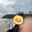 이상한친구들