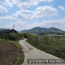 4공주농장 이미지