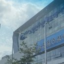 줄포시장 | 노량진 수산시장 줄포상회 위치 시세 후기
