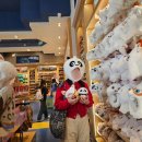 하오건강랜드 | [중국, 베이징] 엄마랑 자유여행 3일 차_ 베이징 유니버셜 스튜디오 Part.1