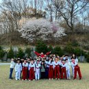 경희대성훈태권도장(2관) | [ 원주태권도 ] 원주 경희대성훈태권도 2관 - 벚꽃 야외수련❤️
