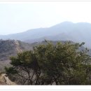 농장자동차공업사 이미지