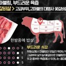 부부축산 이미지