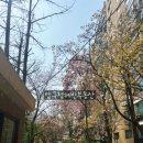 압구정-115 이미지