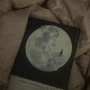 모나드 - 부천시 원미구 중동로254번길 90 | 모나드