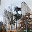 옥길버들초등학교8 이미지