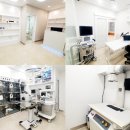 튼튼동물병원 | 길음역 아이튼튼 동물병원 고양이 중성화수술 후기